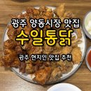 양동통닭 | 광주 양동시장 맛집｜수일통닭vs양동통닭, 어디가 더 맛있을까? 내돈내산 솔직후기