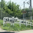 (주)태신 | 당진 예산 아그로랜드 태신 목장 낙농체험 주말 후기