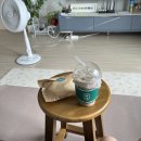 셀라유치원 | 한국여행 4,5주차 🥯 (먹고 먹고 또먹고 ! )