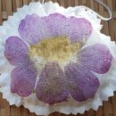 코스모스세탁소 이미지