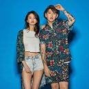 하바나 동행미디어 시대