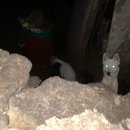 엘라의부엌 이미지