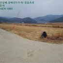 반곡목장 이미지