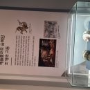 세계조개박물관 이미지