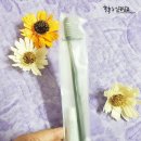 씨플렉스울트라