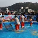 오대천둔치 에서 열리는 평창송어축제 즐겁게 놀아보자 송어맨손잡기[평창여행/평창축제] 이미지