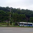 중화할인마트 네이버블로그
