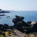 동문동로 이미지