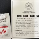 비에스토탈 | 전주 효자동 아티스트비에스 솔직 후기! 짝꿍 눈썹 문신 따라갔다가 속눈썹 펌 성공하고 온 후기 (feat...