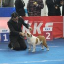 고양고등학교 이미지