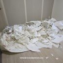 씨유서구청라한신점 | 인천 도배 장판 인천 서구 청라 한신더휴 LG디아망 실크 도배 시공