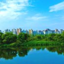 율하체육공원 생태연못 이미지