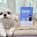 파인드 헬스케어 이미지