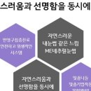 서면엘레슈의원 이미지