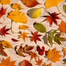 써니 무도장 이미지