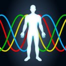 머슬메모리짐 이미지