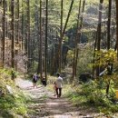 청태산휴양림 이미지