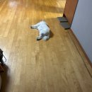 뉴에이스치과기공소 | 해피 뉴이어