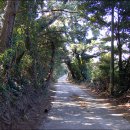 올리브 모텔 이미지