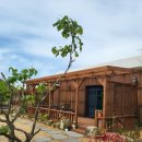 황학산비채숲펜션 이미지