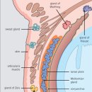 힘나힘한의원 네이버블로그