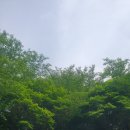 영성카센타 | 젊은이들의 은총 체험 청년 피정 후기