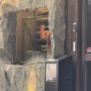 돌집 | 굽돌집 잠실방이직영점 동네주민후기