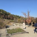 바다향기수목원(도서식물원) 이미지