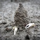 무안황토갯벌랜드 전시실 이미지