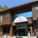 숲속둥지어린이집 | 정선 가리왕산 자연휴양림 숲속의집 ‘소쩍새둥지‘ 후기 / 80대 할머니 모시고 1박 숙박한 후기🍀