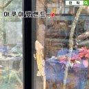 아쿠아펫랜드 | 경기도 시흥 거북섬 아쿠아펫랜드 방문 후기 (무료 관람 가능한 가족 여행지로 추천!)
