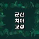 군산시 치아교정 잘하는 전문치과 병원 추천 | 비용 후기 설측교정 돌출입 앞니 투명 무턱 부분 교정기...