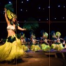 나도 스마트폰 사진작가 이미지