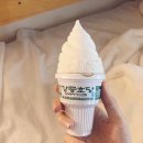 지에스25강릉 이미지
