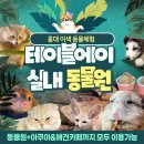 테이블에이 이미지