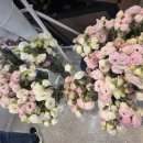 칠갑산마트 이미지