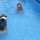 십일월오일 이미지