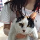 충남대학교 버스정류장 이미지