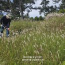 대명축사 이미지