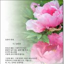 모란 - 전주시 완산구 오목대길 75-6 | 모란