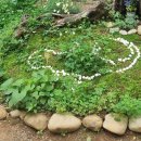 나오리농장 이미지