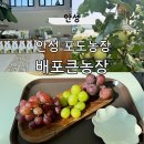 대길농장 이미지