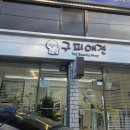 구피애견 이미지