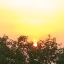 태조산 공원 이미지