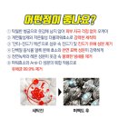 디에스글로벌 이미지