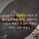 공감. 족보.곤지암의 잔디 이미지