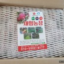 새힘농장 이미지