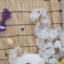 개미용중 이미지