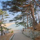 화진포관광지2 | 화진포 해수욕장 김일성별장 입장료 볼거리 강원도 여행지 고성 가볼만한 곳