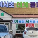 속초대게축제 이미지